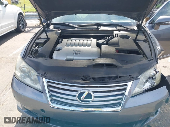 2012 Lexus ES 330 with VIN JTHBK1EG9C2484384, listed as a IAAI auction lot 42528428 with Not provided miles and . Bid and sale history available at DreamBid. Image 10.