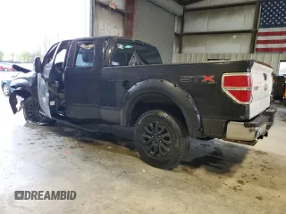 2010 Ford F-150 XL with VIN 1FTEX1E83AFA07593, listed as a Copart auction lot 51984025 with 210,405 mi miles and Salvage Title. Bid and sale history available at carsss.com. Image 2.