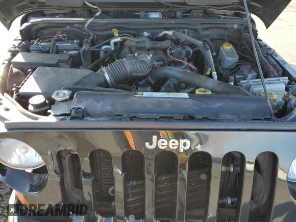2010 Jeep Wrangler Unlimited Sahara with VIN 1J4BA5H17AL123479, listed as a Copart auction lot 49066315 with 114,419 mi miles and Salvage Title. Bid and sale history available at carsss.com. Image 12.