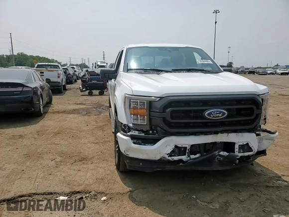 2023 Ford F-150 XL with VIN 1FTEW1EP7PFB66555, listed as a Copart auction lot 59384665 with 28,495 mi miles and Salvage title. Bid and sale history available at DreamBid. Image 13.
