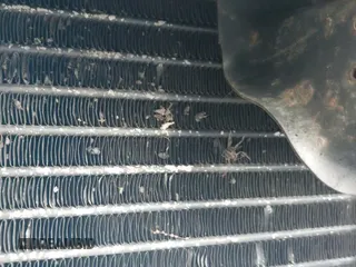 2004 Chevrolet Blazer LS with VIN 1GNDT13X54K156205, listed as a IAAI auction lot 40983841 with 191,877 mi miles and . Bid and sale history available at DreamBid. Image 12.