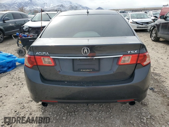 2011 Acura TSX with VIN JH4CU2F65BC004862, listed as a Copart auction lot 49914205 with 194,730 mi miles and Salvage Title. Bid and sale history available at carsss.com. Image 6.