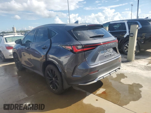 2023 Lexus NX with VIN JTJKKCFZ3P2017316, listed as a Copart auction lot 73752814 with 13,125 mi miles and Salvage Title. Bid and sale history available at carsss.com. Image 2.