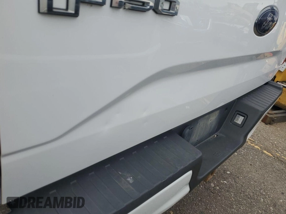 2017 Ford F-150 XL with VIN 1FTEX1EP9HKE24354, listed as a IAAI auction lot 42731101 with 151,469 mi miles and . Bid and sale history available at DreamBid. Image 10.