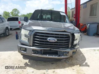 2015 Ford F-150 XL with VIN 1FTEX1CP2FFB95489, listed as a IAAI auction lot 42463991 with 164,981 mi miles and . Bid and sale history available at DreamBid. Image 12.