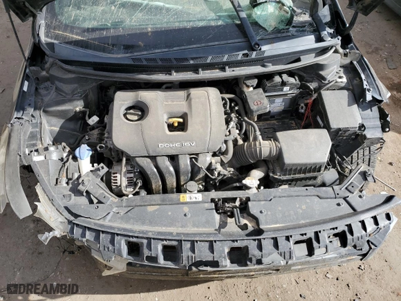 2018 Kia Forte S with VIN 3KPFL4A72JE166386, listed as a Copart auction lot 79043984 with 0 mi miles and Salvage Title. Bid and sale history available at carsss.com. Image 12.