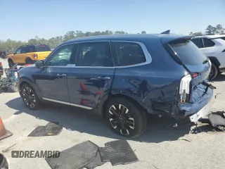 2024 Kia Telluride SX X-Line with VIN 5XYP5DGC0RG485674, listed as a Copart auction lot 48816625 with 24,056 mi miles and Salvage Title. Bid and sale history available at carsss.com. Image 2.