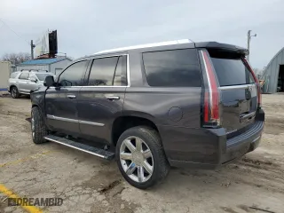 2017 Cadillac Escalade Premium Luxury with VIN 1GYS4CKJ0HR349052, listed as a Copart auction lot 42430434 with 44,598 mi miles and Salvage Title. Bid and sale history available at carsss.com. Image 2.