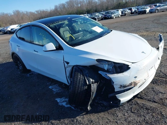 2022 Tesla Model Y Performance with VIN 7SAYGDEF5NF542189, listed as a IAAI auction lot 41643254 with 18,865 mi miles and . Bid and sale history available at DreamBid. Image 1.