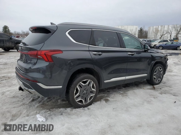 2022 Hyundai Santa Fe Limited with VIN 5NMS4DAL8NH456185, listed as a Copart auction lot 48406205 with 39,580 mi miles and Salvage Title. Bid and sale history available at carsss.com. Image 3.