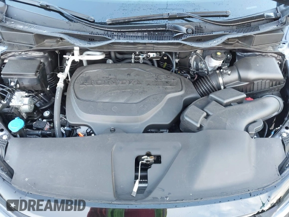 2025 Honda Odyssey EX-L with VIN 5FNRL6H64SB038684, listed as a IAAI auction lot 41911992 with Not Provided miles and . Bid and sale history available at DreamBid. Image 10.