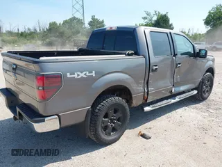 2010 Ford F-150 XL with VIN 1FTEW1E83AFD18282, listed as a IAAI auction lot 42653428 with 207,118 mi miles and . Bid and sale history available at DreamBid. Image 4.