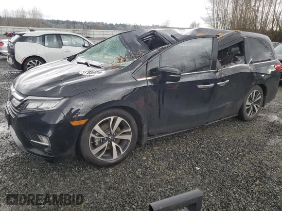 2020 Honda Odyssey Elite with VIN 5FNRL6H99LB069683, listed as a Copart auction lot 47960495 with Not Provided miles and Salvage Title. Bid and sale history available at DreamBid. Image 1.