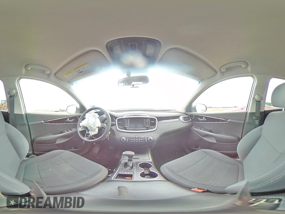 2019 Kia Sorento LX with VIN 5XYPGDA30KG480872, listed as a Copart auction lot 49615655 with Not Provided miles and Salvage Title. Bid and sale history available at DreamBid. Image 13.