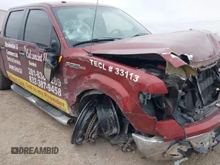 2014 Ford F-150 XL with VIN 1FTEW1CM0EKD44254, listed as a IAAI auction lot 41380008 with 172,107 mi miles. Bid and sale history available at carsss.com. Image 6.
