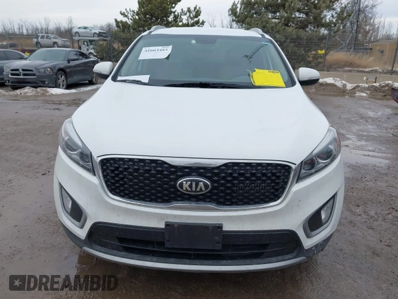 2017 Kia Sorento EX with VIN 5XYPHDA15HG234968, listed as a IAAI auction lot 41663483 with 154,899 mi miles and . Bid and sale history available at carsss.com. Image 12.