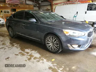 2014 Kia Cadenza Premium with VIN KNALN4D79E5124935, listed as a Copart auction lot 48229935 with 161,377 mi miles and Salvage Title. Bid and sale history available at carsss.com. Image 4.