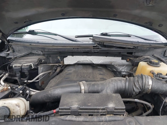 2013 Ford F-150 XL with VIN 1FTFW1ET0DFB16965, listed as a IAAI auction lot 42503215 with 194,637 mi miles and . Bid and sale history available at DreamBid. Image 10.