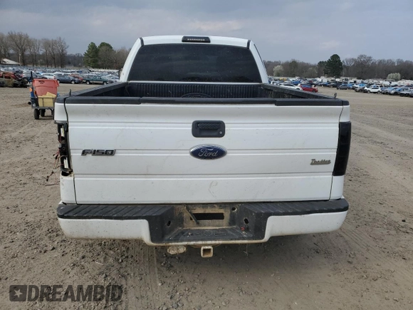 2009 Ford F-150 STX with VIN 1FTRX12809FA07861, listed as a Copart auction lot 49316575 with 167,389 mi miles and Clean Title. Bid and sale history available at carsss.com. Image 6.