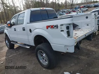 2013 Ford F-150 XL with VIN 1FTFW1EFXDFD00367, listed as a IAAI auction lot 41791175 with 165,150 mi miles and . Bid and sale history available at DreamBid. Image 3.