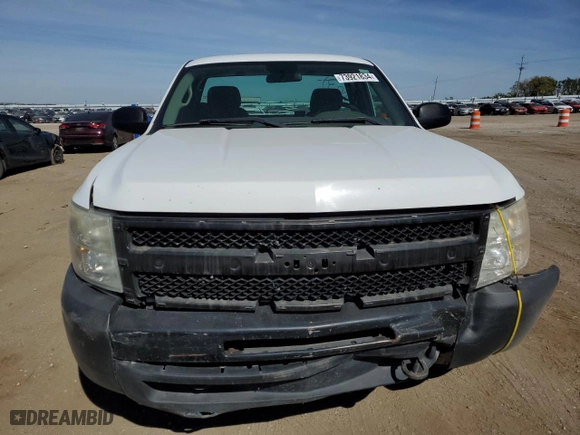 2009 Chevrolet Silverado 1500 Work Truck with VIN 1GCEK14C19Z202087, listed as a Copart auction lot 73921834 with 0 mi miles and Clean Title. Bid and sale history available at carsss.com. Image 5.
