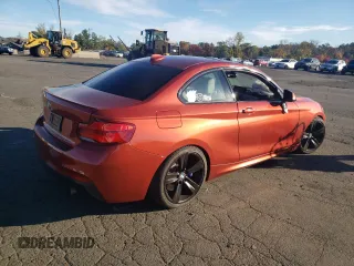 2018 BMW 2 Series 230i xDrive with VIN WBA2J3C53JVA49891, listed as a Copart auction lot 75574104 with 55,253 mi miles and Salvage title. Bid and sale history available at DreamBid. Image 3.