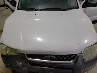 2004 Ford Escape XLT z VIN 1FMCU931X4KB36474, wystawiony jako Copart lot #52814635 z przebiegiem 168 550 mil mil oraz Szkoda całkowita • Salvage title. Historia ofert i sprzedaży dostępna na DreamBid. Obrazek 11.
