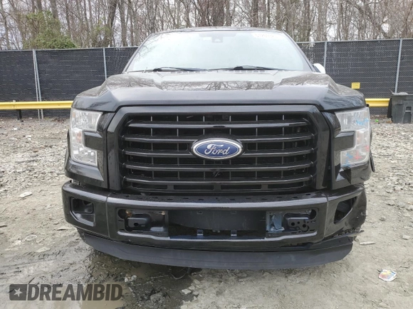 2016 Ford F-150 XL with VIN 1FTEW1CFXGFA55718, listed as a Copart auction lot 51209325 with Not Provided miles and Salvage Title. Bid and sale history available at carsss.com. Image 5.