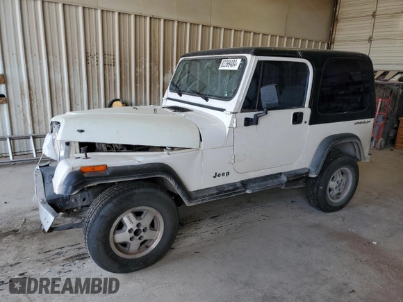 1995 Jeep Wrangler with VIN 1J4FY29SXSP309742, listed as a Copart auction lot 82399484 with 167,866 mi miles and Salvage Title. Bid and sale history available at carsss.com. Image 1.