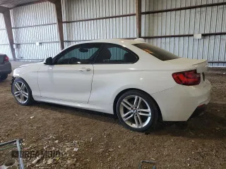 2016 BMW 2 Series 228i with VIN WBA1F9C58GV545002, listed as a Copart auction lot 42129794 with 110,846 mi miles. Bid and sale history available at carsss.com. Image 2.
