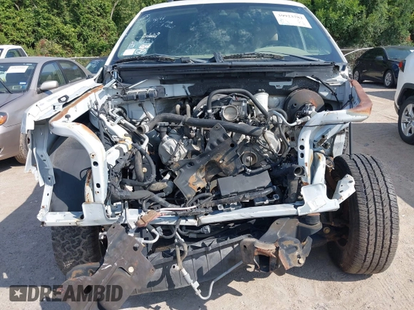 2010 Ford F-150 XL with VIN 1FTEX1C80AKE57132, listed as a IAAI auction lot 39923782 with 68,108 mi miles and . Bid and sale history available at DreamBid. Image 6.