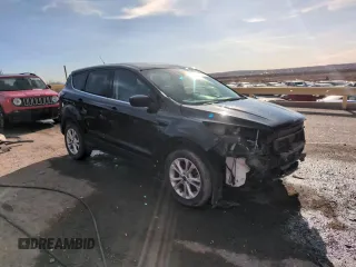 2017 Ford Escape SE with VIN 1FMCU9GD6HUE17668, listed as a Copart auction lot 49694045 with 162,100 mi miles and Salvage Title. Bid and sale history available at carsss.com. Image 15.