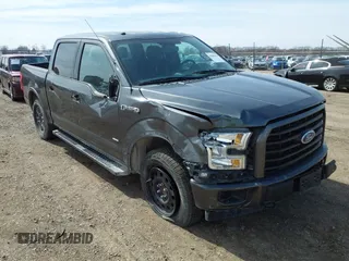 2017 Ford F-150 XL with VIN 1FTEW1EP5HFC13843, listed as a IAAI auction lot 41846415 with 125,277 mi miles. Bid and sale history available at carsss.com. Image 1.