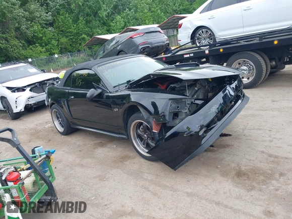 2001 Ford Mustang GT Deluxe с VIN 1FAFP45X11F258695, выставлен на аукционе IAAI как лот 42197786 с пробегом 111 778 миль миль и . История ставок и продаж доступна на DreamBid. Изображение 1.