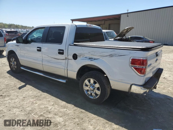 2010 Ford F-150 XL with VIN 1FTEW1C87AFD70646, listed as a Copart auction lot 53051625 with 162,396 mi miles and Salvage Title. Bid and sale history available at carsss.com. Image 2.