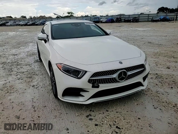 2019 Mercedes-Benz CLS with VIN WDD2J5KB4KA033037, listed as a Copart auction lot 59336544 with 21,935 mi miles and Non Repairable. Bid and sale history available at carsss.com. Image 11.