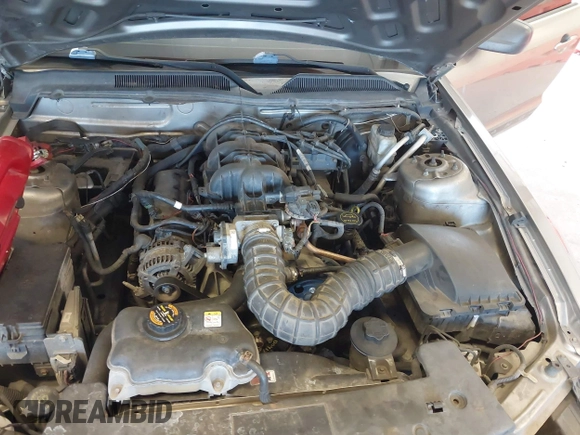 2009 Ford Mustang with VIN 1ZVHT80N995124334, listed as a IAAI auction lot 39901598 with 165,586 mi miles and . Bid and sale history available at carsss.com. Image 10.
