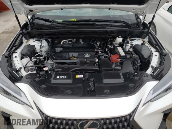 2023 Lexus NX 250 with VIN JTJADCAZ5P2006346, listed as a Copart auction lot 74574774 with Not provided miles and Salvage title. Bid and sale history available at DreamBid. Image 12.