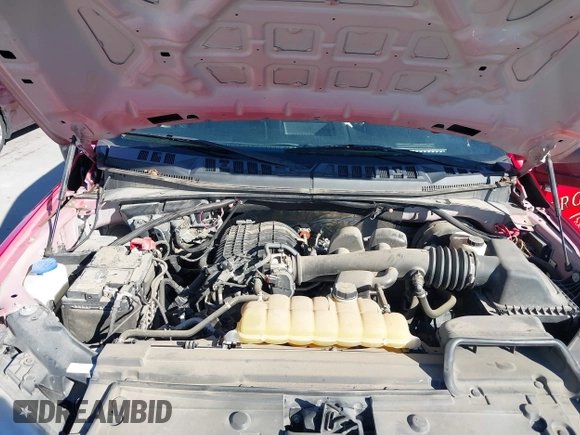 2019 Ford F-150 XL with VIN 1FTEW1CB6KKD50814, listed as a IAAI auction lot 41230911 with 35,600 mi miles and . Bid and sale history available at DreamBid. Image 10.