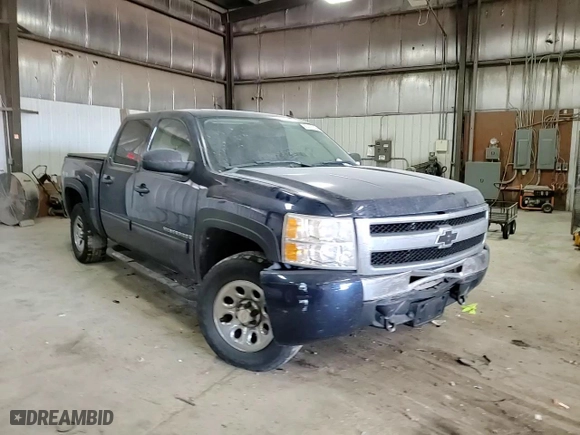 2009 Chevrolet Silverado 1500 LS with VIN 3GCEK13C69G276381, listed as a Copart auction lot 83317334 with 210,112 mi miles and Salvage Title. Bid and sale history available at carsss.com. Image 10.