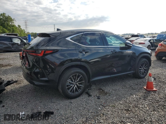 2024 Lexus NX 350 Premium с VIN 2T2GGCEZ0RC041388, выставлен на аукционе Copart как лот 53429865 с пробегом 6 699 миль миль и Списание • Salvage title. История ставок и продаж доступна на DreamBid. Изображение 3.