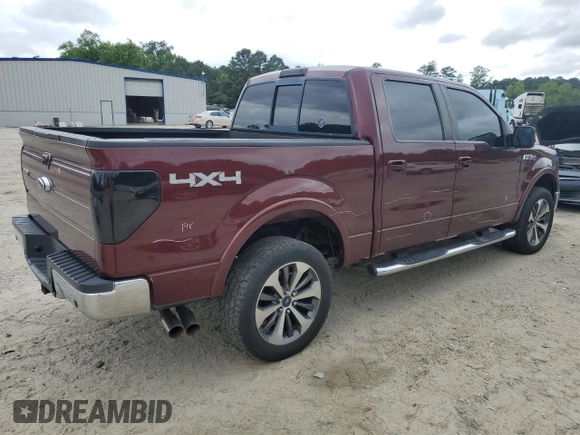 2009 Ford F-150 XL with VIN 1FTPW14V49FA35949, listed as a Copart auction lot 55382805 with 160,445 mi miles and Salvage title. Bid and sale history available at DreamBid. Image 3.