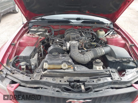 2005 Ford Mustang Deluxe с VIN 1ZVFT80N055208219, выставлен на аукционе IAAI как лот 42289150 с пробегом 144 434 миль миль и . История ставок и продаж доступна на DreamBid. Изображение 10.