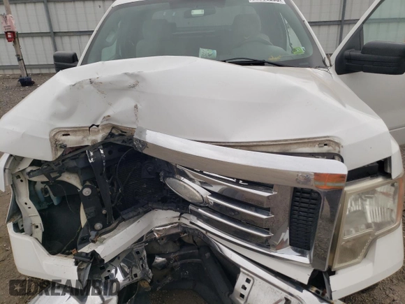 2009 Ford F-150 STX with VIN 1FTRX14889FA73202, listed as a Copart auction lot 50856285 with 184,181 mi miles and Salvage Title. Bid and sale history available at carsss.com. Image 12.