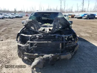 2005 Honda Pilot EX-L with VIN 5FNYF185X5B061839, listed as a Copart auction lot 48666595 with 0 mi miles and Salvage Title. Bid and sale history available at carsss.com. Image 5.