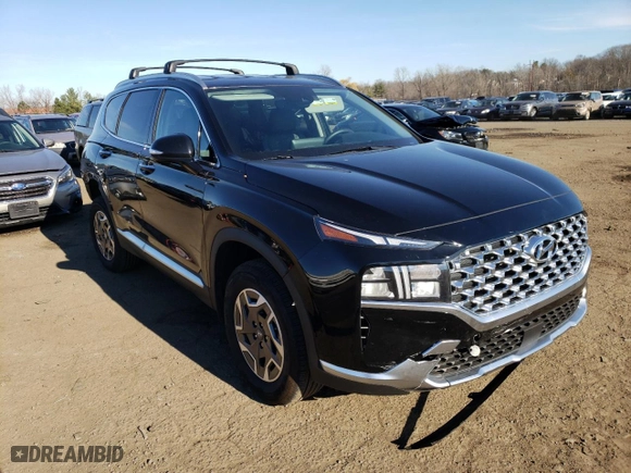 2021 Hyundai Santa Fe Hybrid Blue with VIN KM8S2DA17MU006650, listed as a Copart auction lot 69803152 with NaN miles. Bid and sale history available at carsss.com. Image 4.