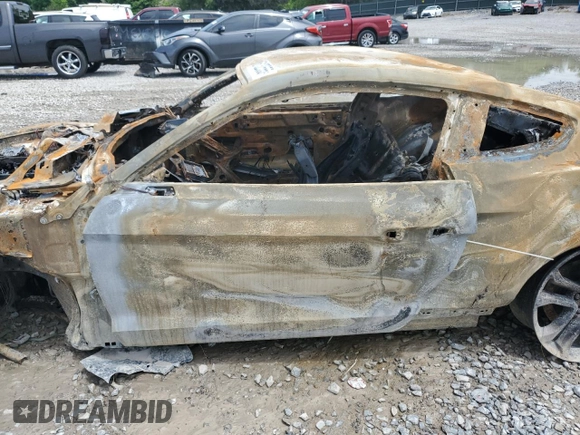 2019 Ford Mustang GT with VIN 1FA6P8CF3K5199495, listed as a Copart auction lot 56132555 with Not provided miles and Non repairable. Bid and sale history available at DreamBid. Image 7.