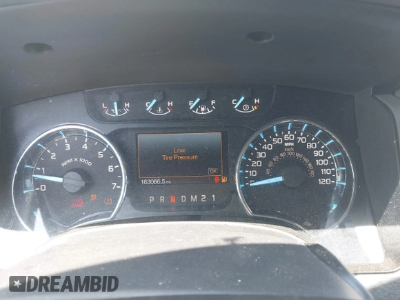 2011 Ford F-150 XL with VIN 1FTFX1EF4BFA98684, listed as a IAAI auction lot 42561624 with 163,066 mi miles and . Bid and sale history available at DreamBid. Image 15.
