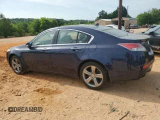 2009 Acura TL Technology z VIN 19UUA86549A009566, wystawiony jako Copart lot #54732455 z przebiegiem 248 257 mil mil oraz Szkoda całkowita • Salvage title. Historia ofert i sprzedaży dostępna na DreamBid. Obrazek 2.