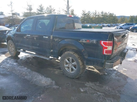 2018 Ford F-150 XL with VIN 1FTEW1E5XJFC12563, listed as a IAAI auction lot 41541523 with 132,642 mi miles. Bid and sale history available at carsss.com. Image 3.